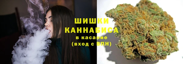 винт Касимов